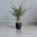 Plant Artificial LXG783 Height 70cm
